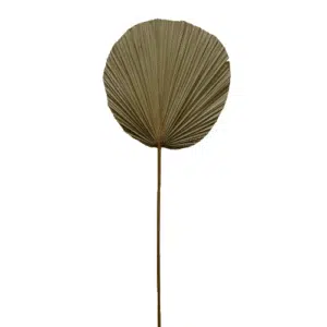 Palmblad-op-steel-XL-4Shine