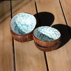 Kokosbakje Elio - 4 stuks -  4Shine
