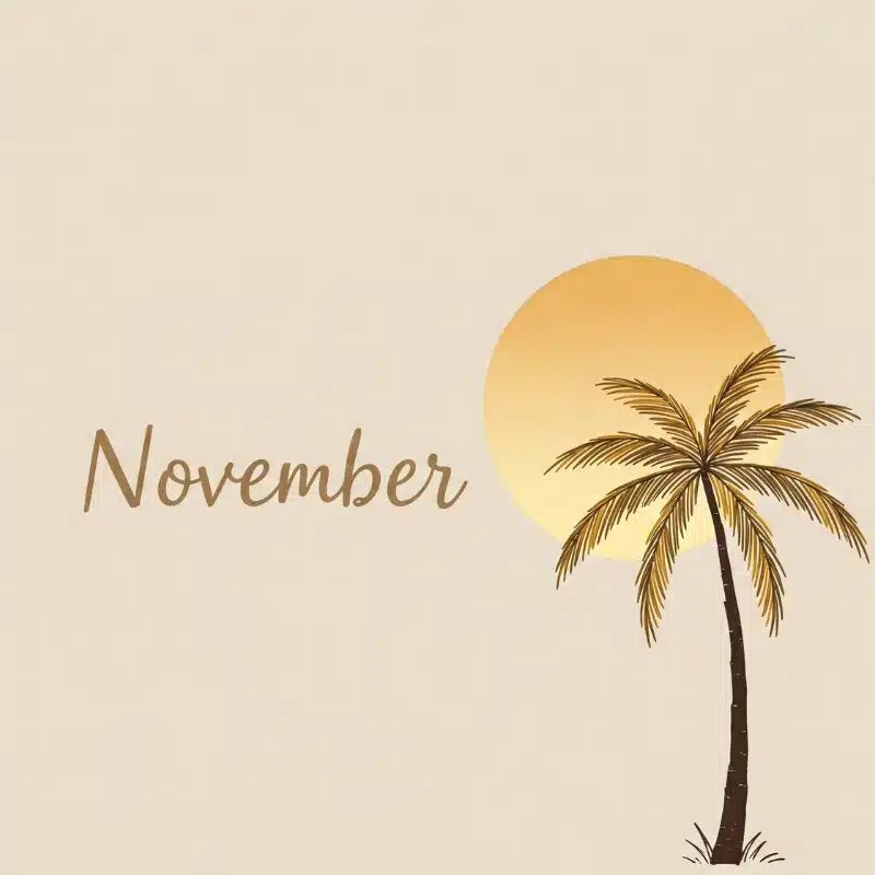November - 4shine The Ibiza Vibe