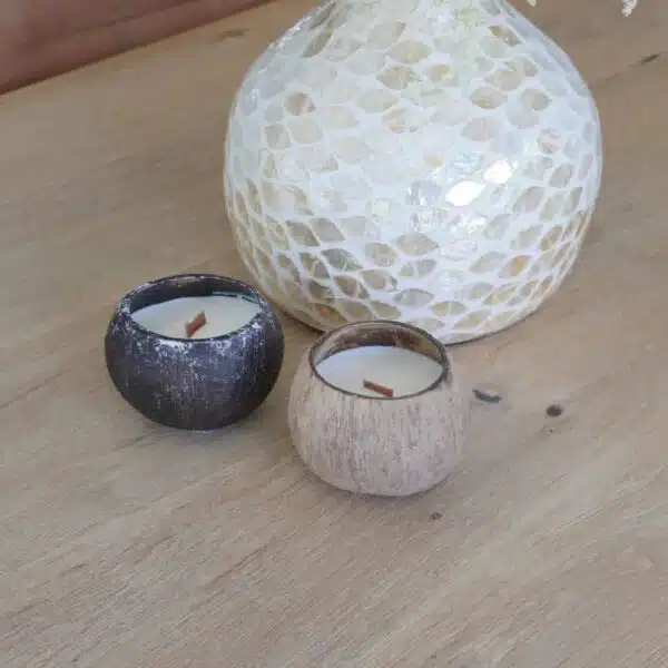 Kokosnoot kaars met vaas