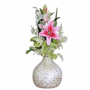 Vaas Lilly 4shine