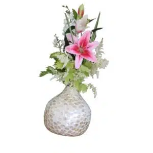 Vaas Lilly - 4shine
